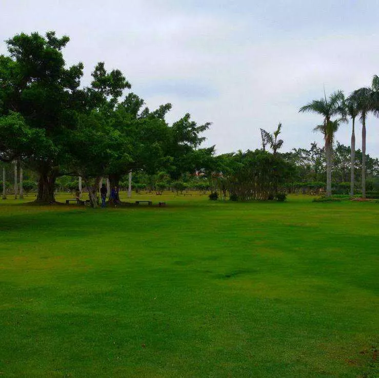 廣州園林綠化養護的特點都有哪(na)些？