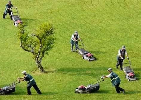 廣州園林綠化養護的特點都有哪些？