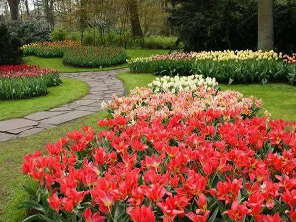 廣州園林綠(lv)化施(shi)工怎麼進行質量(liang)判斷