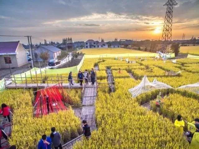 園林綠化栽(zai)植之后要開(kai)展什麼(me)養護措施？