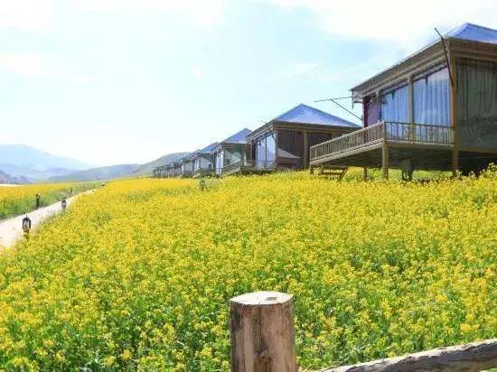 園林綠化栽植之(zhi)后(hou)要開展什麼(me)養護措施？