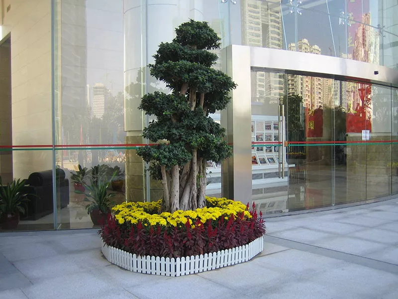 廣州(zhou)綠植(zhi)租擺支付費用以后就不需要(yao)護理了嗎？