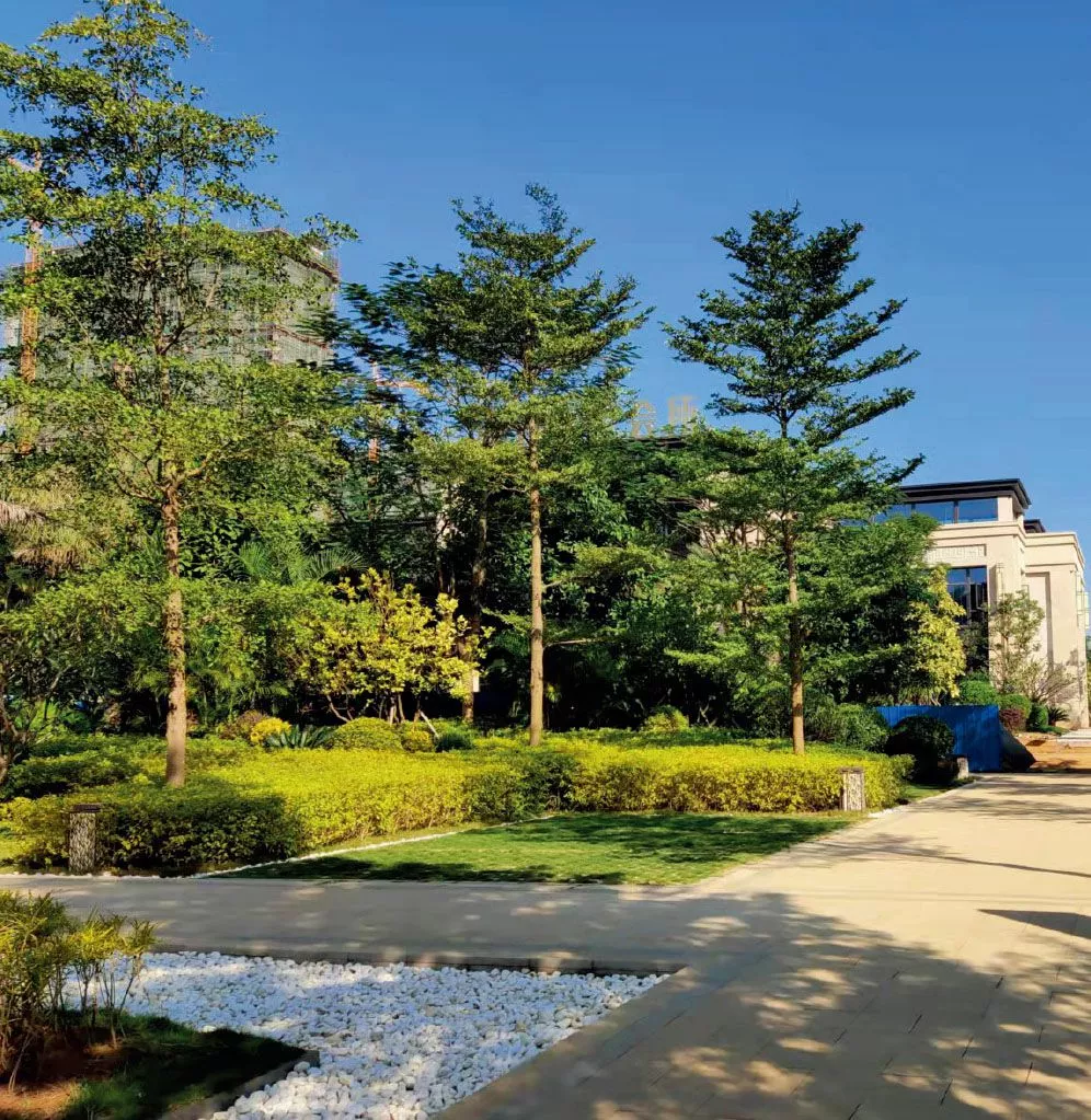 北海信息港01地塊示範區紅線外園(yuan)林景觀、小市政工程