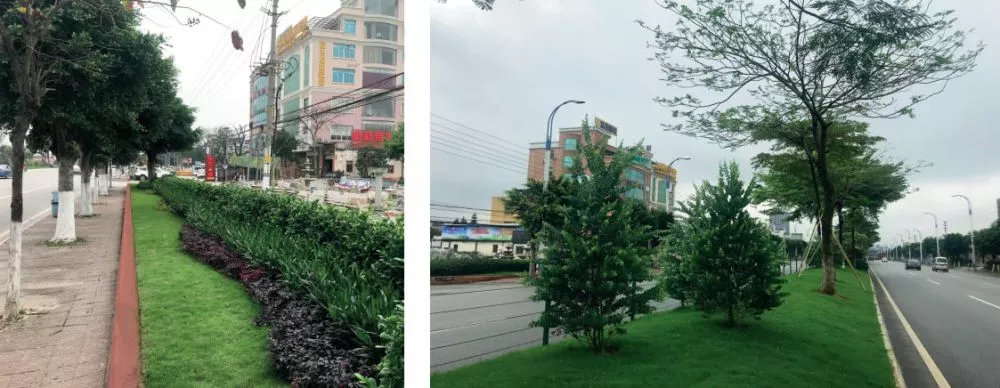 105國道(石壁段)綠化陞級改造項目