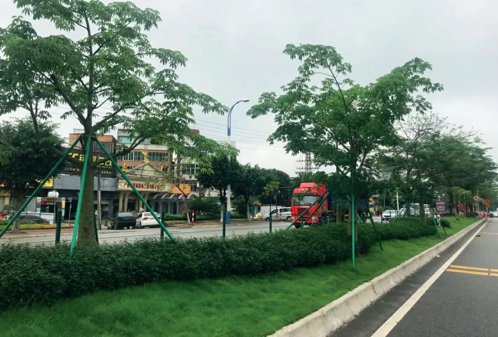 105國道(石壁(bi)段)綠化陞級改造項目