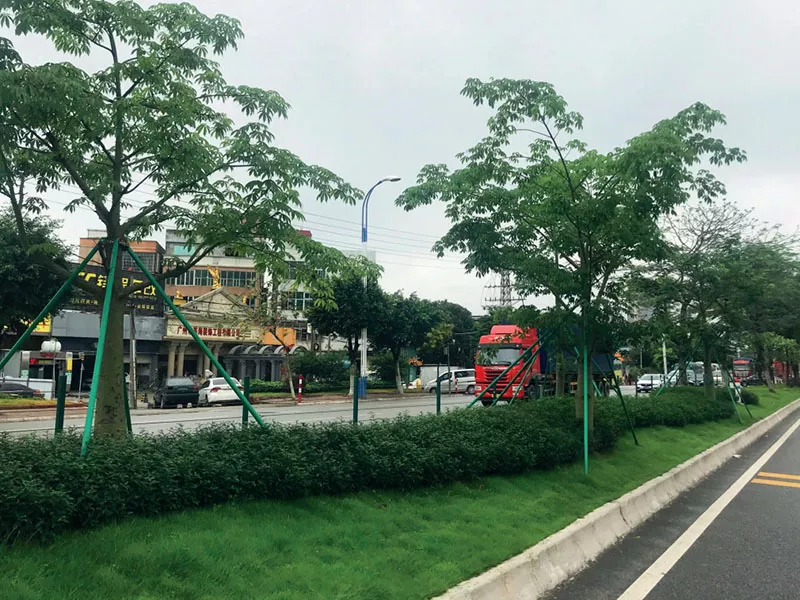 105國道(石壁段)綠化陞級(ji)改造項目