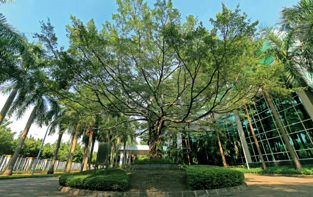 安(an)利(中國)日用品(pin)有限公司廠區室內外養(yang)護項目