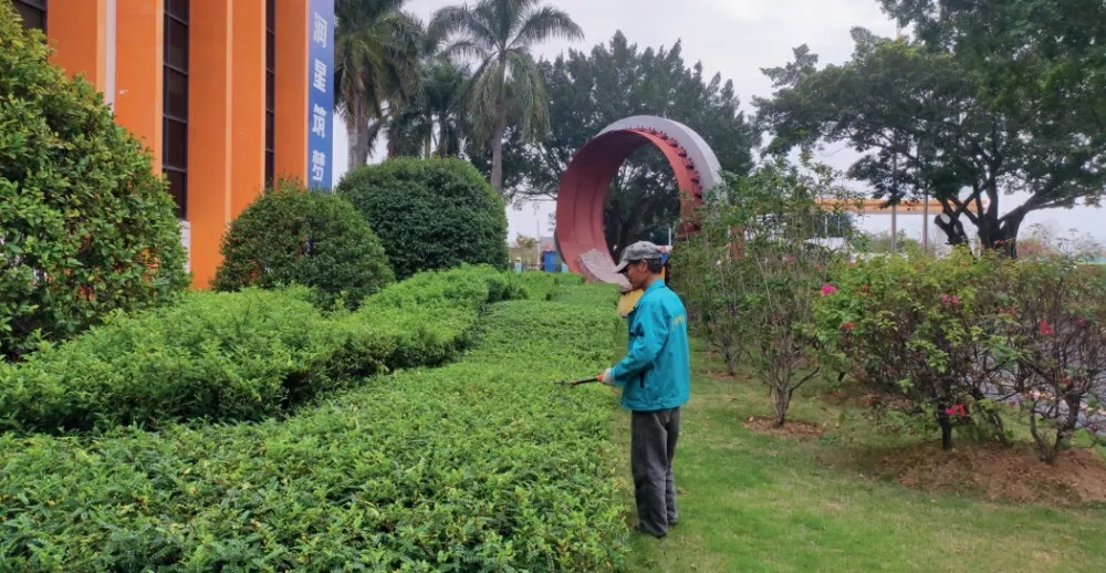 華潤水泥學院綠化養護、環衞保潔、食堂服務項目