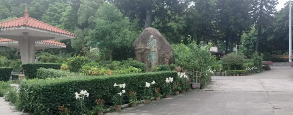 傍西邨公園邨內綠化養護項目