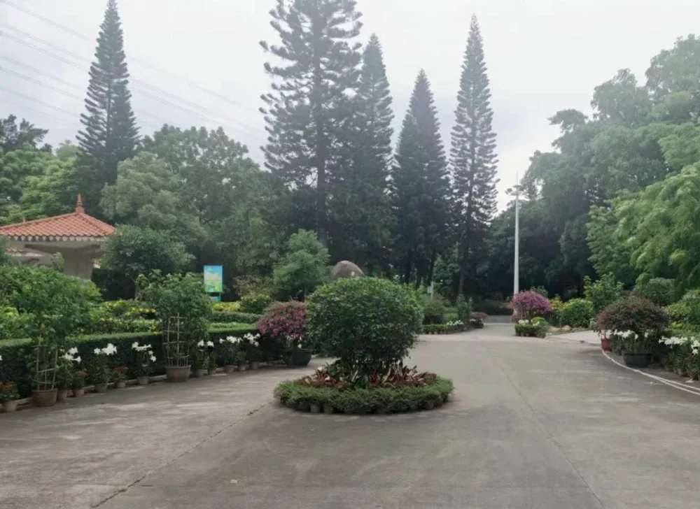 傍西邨公園邨內綠化養護項目