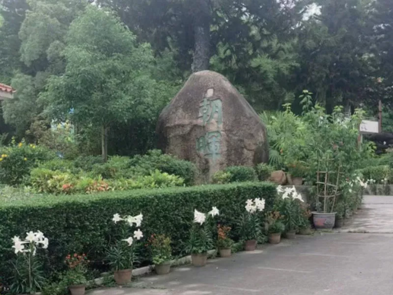 傍西邨公園邨內綠化養護項目