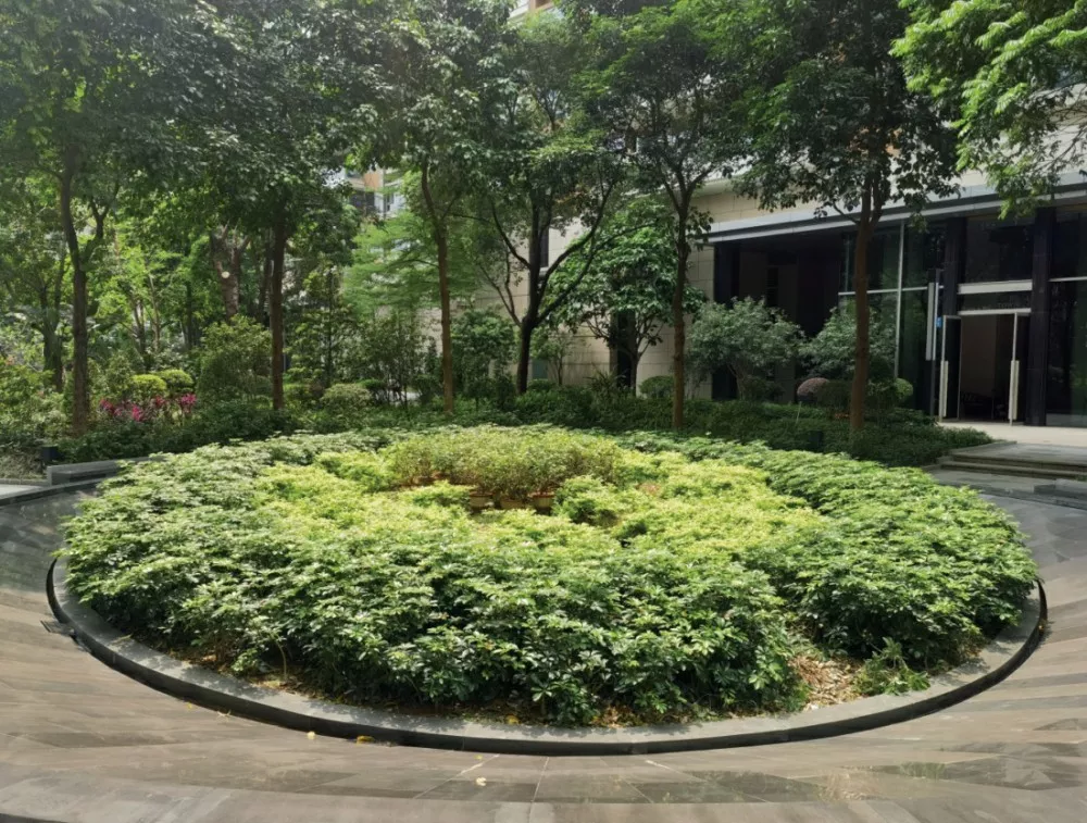 峻林苑綠化養護項目