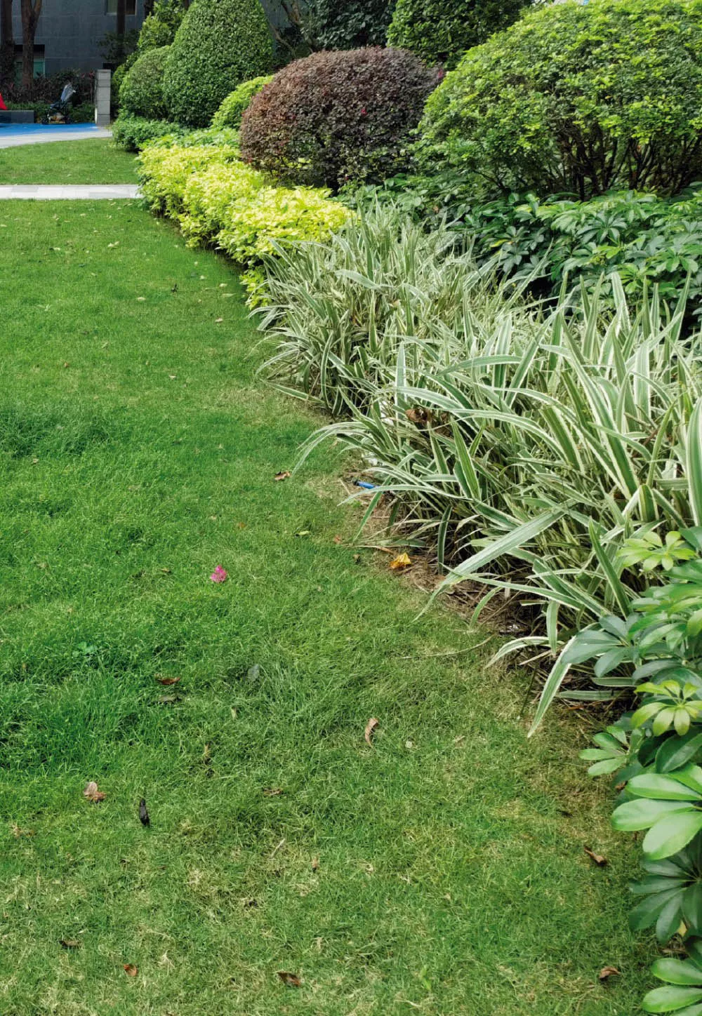 峻林苑綠化養護項(xiang)目(mu)