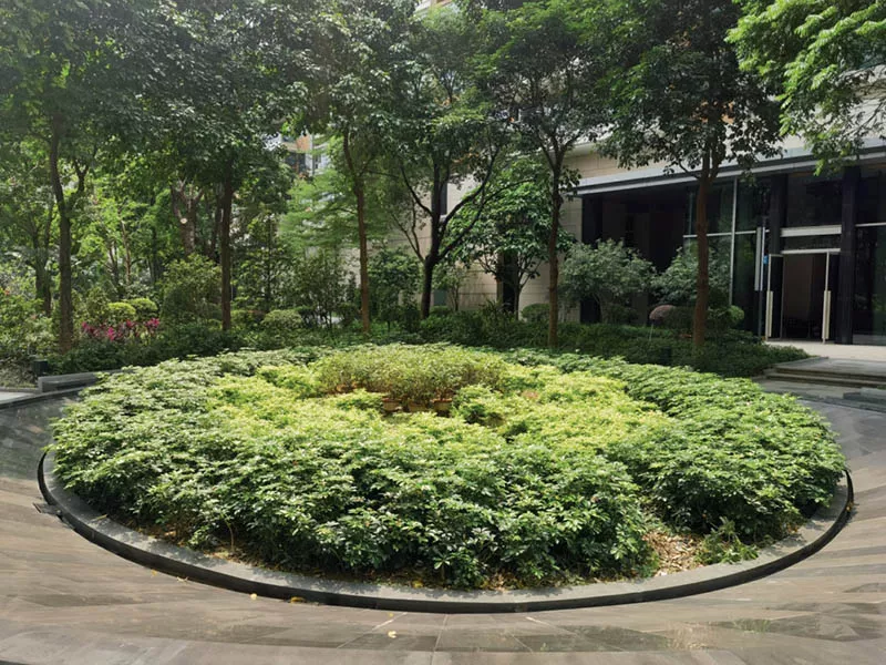 峻林苑綠化養護項目