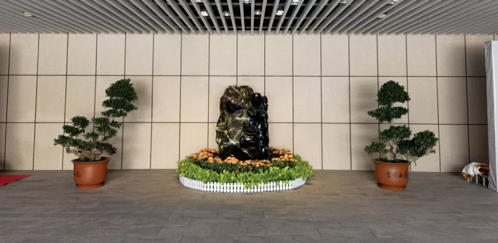 廣髮銀行股份有(you)限公(gong)司室內綠化植物租擺服務項目