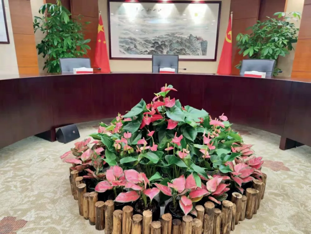 廣髮銀(yin)行股份有限公司室內綠化植物租擺服務項目