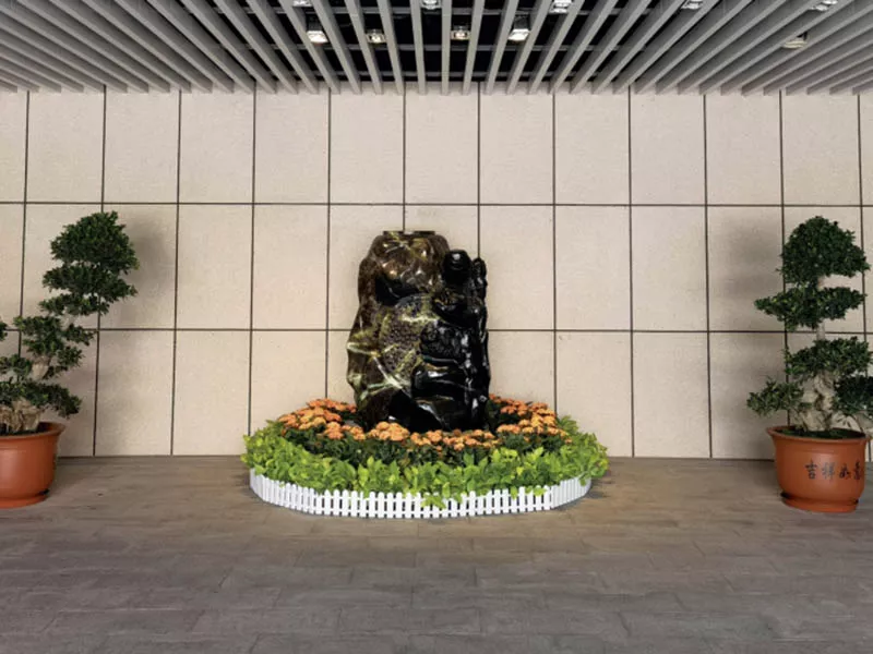 廣髮銀行股份有限公(gong)司(si)室(shi)內綠(lv)化植物租擺服(fu)務項目