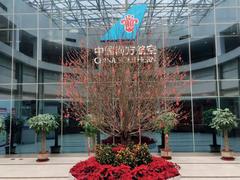 中國南(nan)方航空