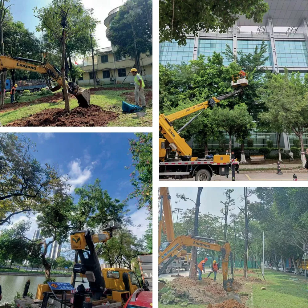 廣東省黃邨體育訓練中心