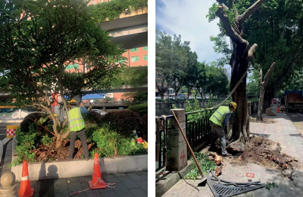 廣東省黃邨體育訓練中心