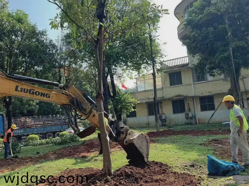 廣東省黃邨(cun)體育訓練中心