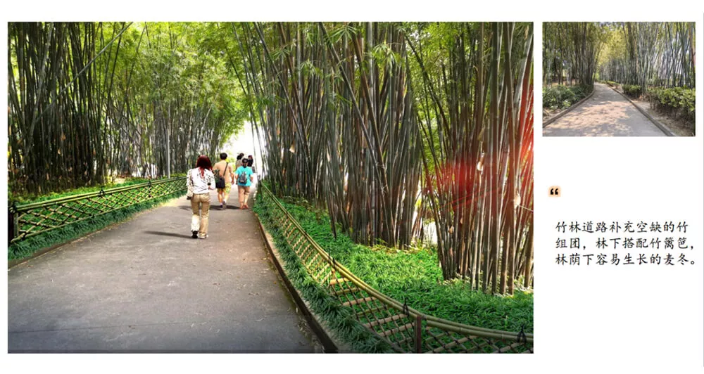 傍西(xi)僑愛公園綠化設計