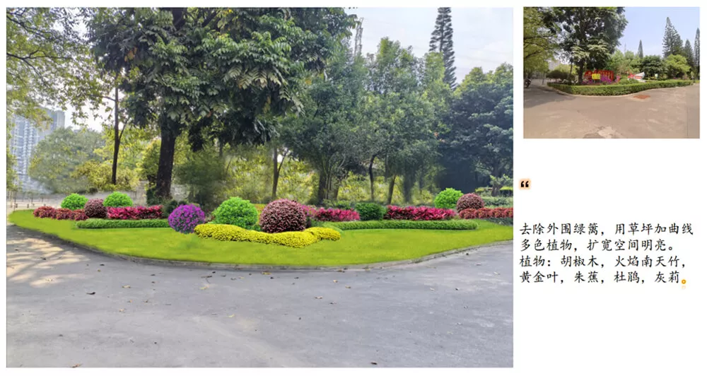 傍西僑愛公園綠化設計