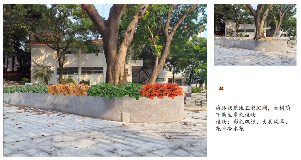 傍西僑愛公園綠化設計