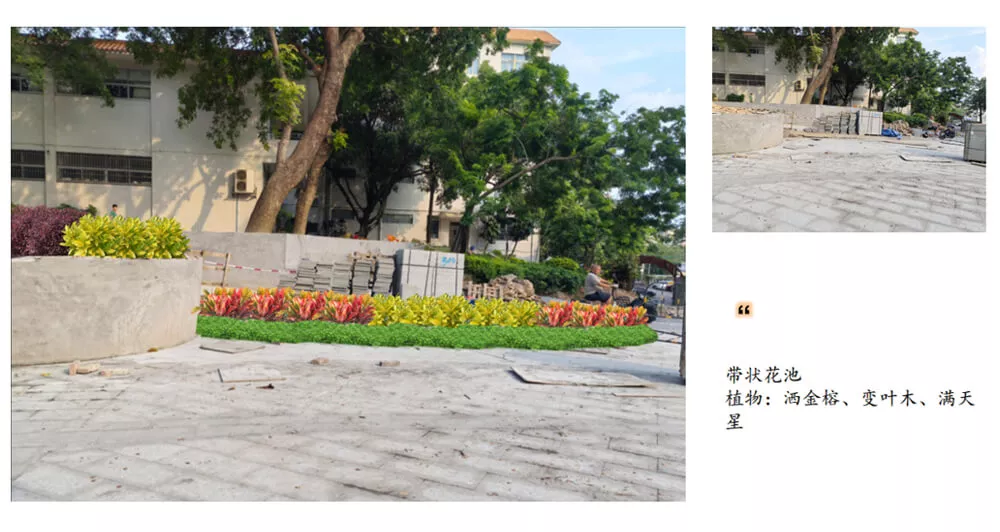 傍西僑愛公園綠化(hua)設計