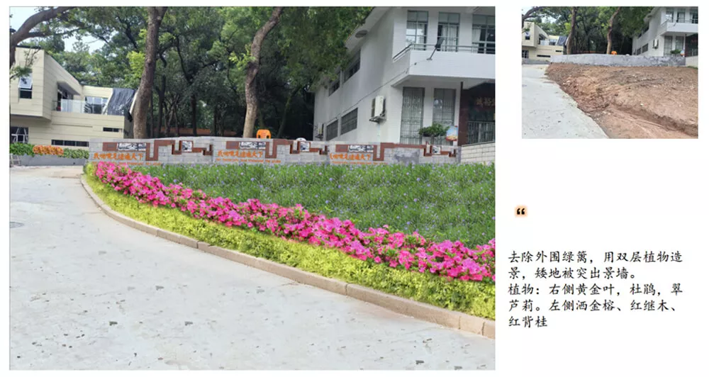 傍西(xi)僑愛公園綠化設計