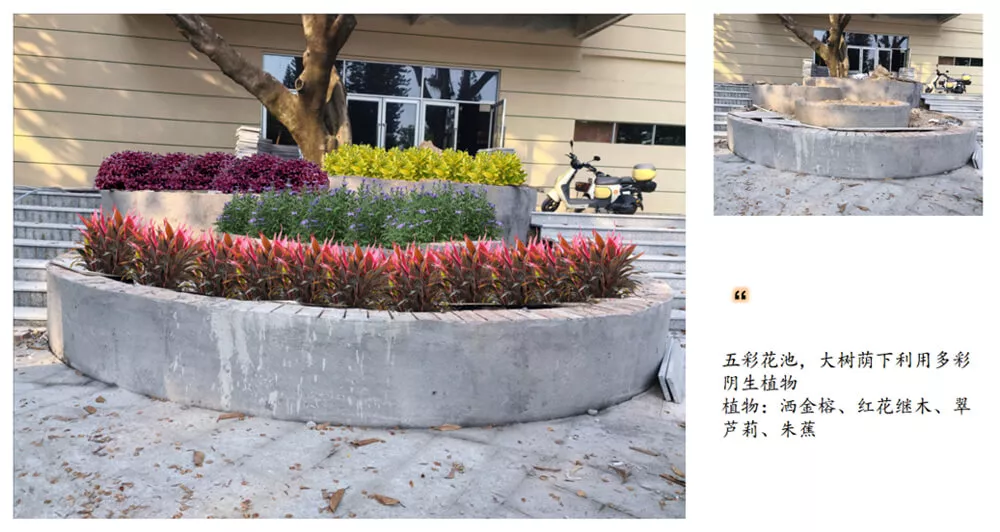 傍西僑愛公園綠(lv)化設計